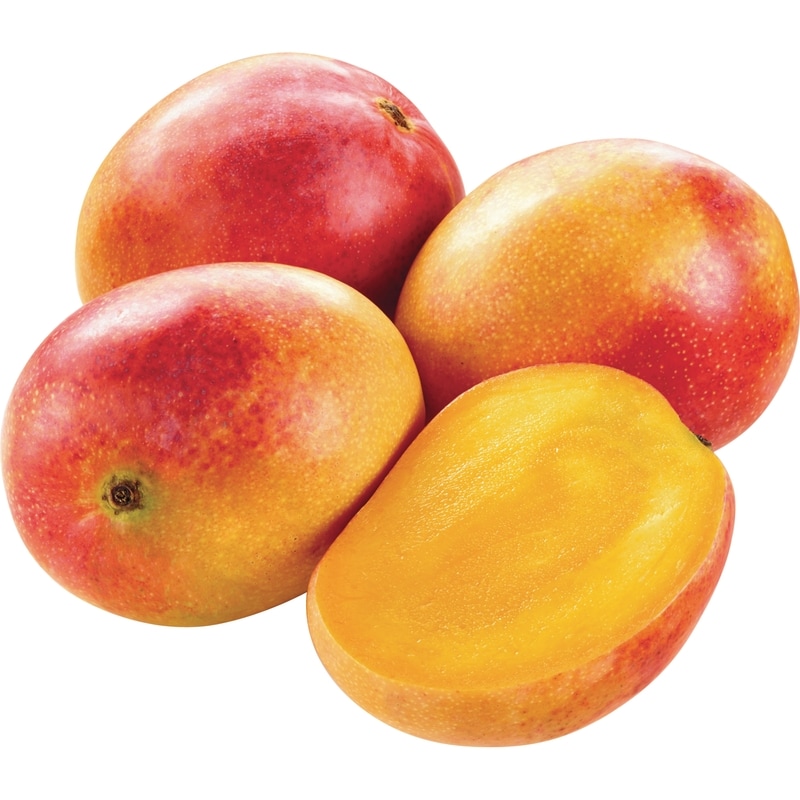 Maya Mango
