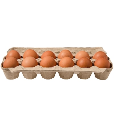 Large Size Brown Eggs 12 Pack