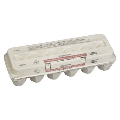 Large Size Brown Eggs 12 Pack