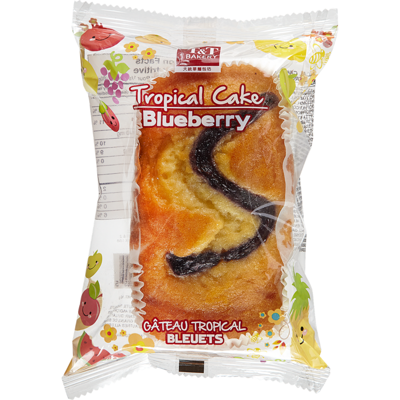 Blueberry Tropical Cake