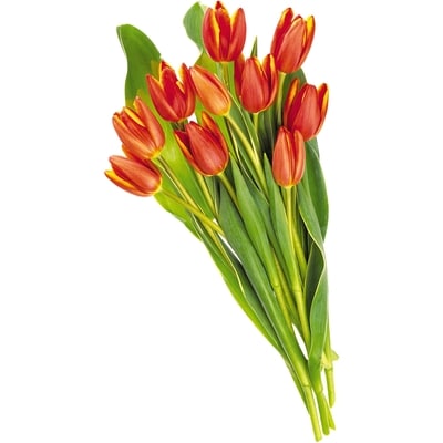 null Tulips, 10 stem  1 ea, $3.33/100g