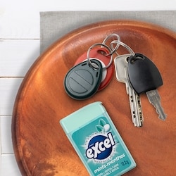 Wrigley's Fresh Mint Flavoured Mints, 4 Packs - 4 ea | Provigo