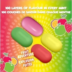 Tic Tac Mints, Fruit Adventure, Mint Candy, 200 Pills - 98 g | Loblaws