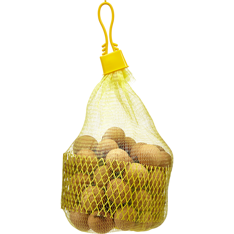 Longan Fruit