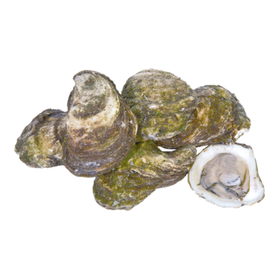null Cocktail d’huîtres Trésor du Large 25 g, 5,61 $/100g