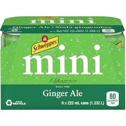 Schweppes Ginger Ale - 6x222.0 ml | Zehrs