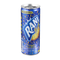 Rani Pineapple Fruit Drink 240 ml, $0.54/100ml