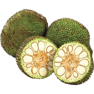null Breadnut $4.41/1kg $2.00/1lb