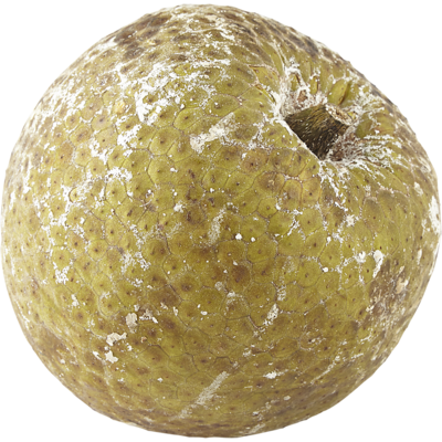 null Fruit à pain 7,69 $/1kg 3,49 $/1lb