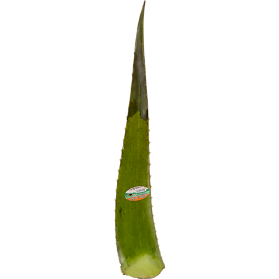 null Jamaican Aloe $3.28/1kg $1.49/1lb