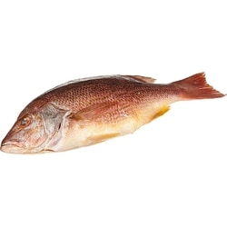 null Fresh Whole Red Snapper B-Liner, 2-4 lb $28.64/1kg $12.99/1lb