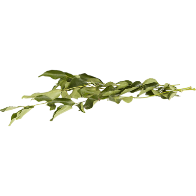 null Feuille de cari 60 g, 3,33 $/100g