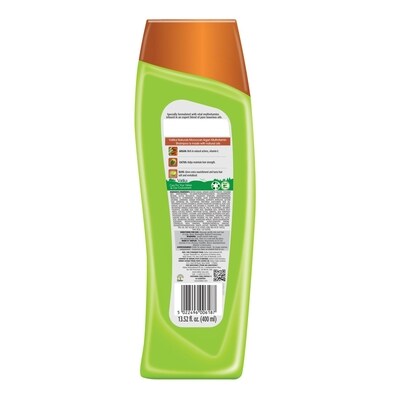 Argan Shampoo for Dry Hair