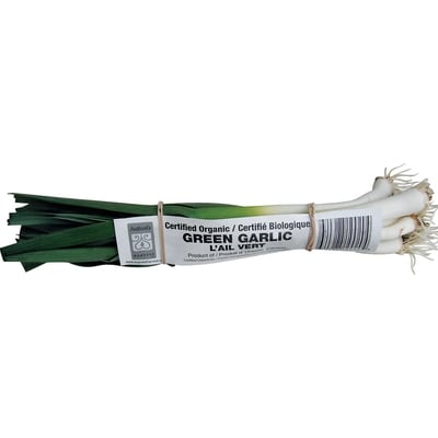 null Ail vert 1 ea, 5,50 $/1ch