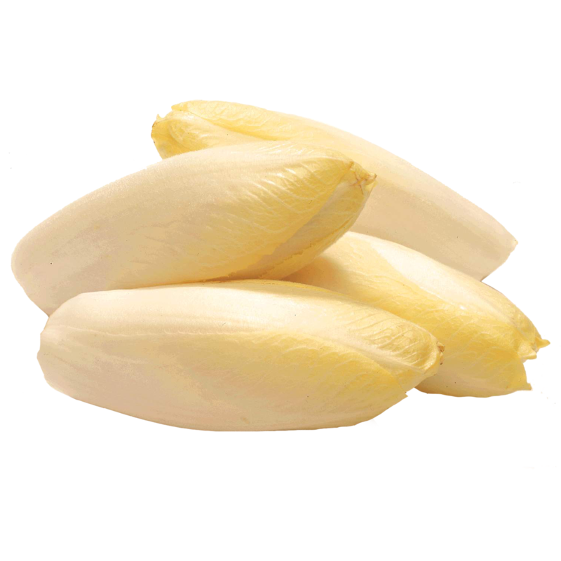 Endive