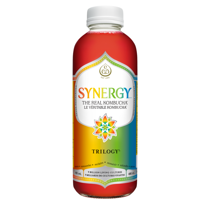 Synergy The Real Kombucha Trilogy