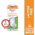 Neilson 3.25% Lactose Free Milk - 2 l | Fortinos