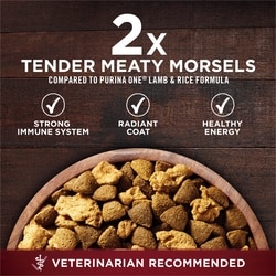 Purina ONE True Instinct Turkey Venison, Dry Dog Food kg