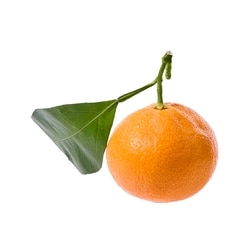 President's Choice Satsuma Mandarin Oranges | Zehrs