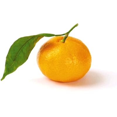 le Choix du Président Mandarines Satsuma 1,10 $/100g 4,99 $/1lb
