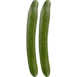 null Organic English Cucumber, Pack of 2 1 ea, $4.00/1ea