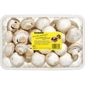 Champignons blancs