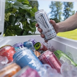 モンスター Monster Energy Zero Ultra - 473 ml | Loblaws