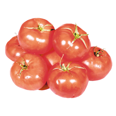 null Savoura Red Tomato $4.41/1kg $2.00/1lb