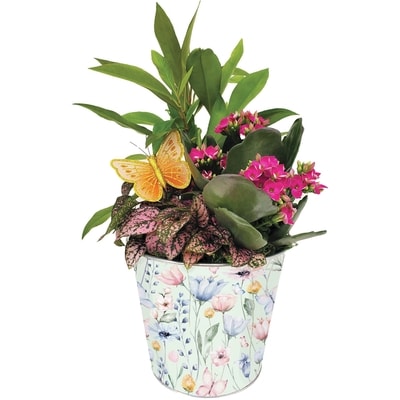 null Mother's Day Garden Planter 1 ea, $26.00/1ea