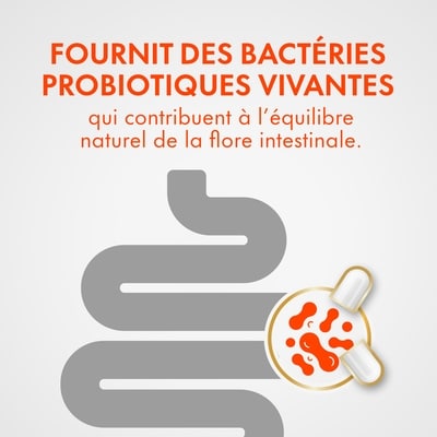 Align Capsules 14 ea, 1,71 $/1ch