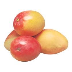 null East Indian Mango $8.80/1kg $3.99/1lb