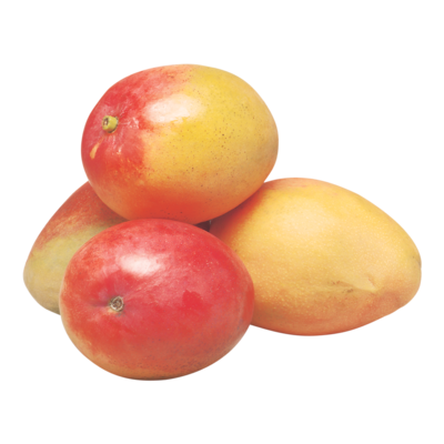 null East Indian Mango $8.80/1kg $3.99/1lb