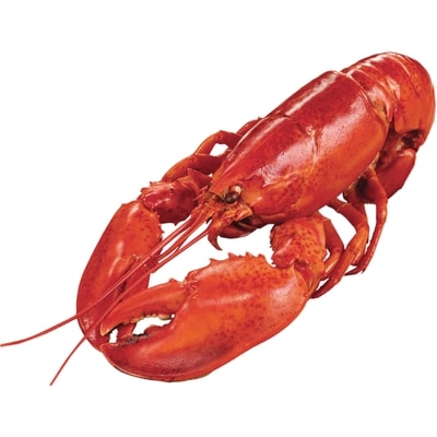null Homard cuit frais 400 g, 3,75 $/100g