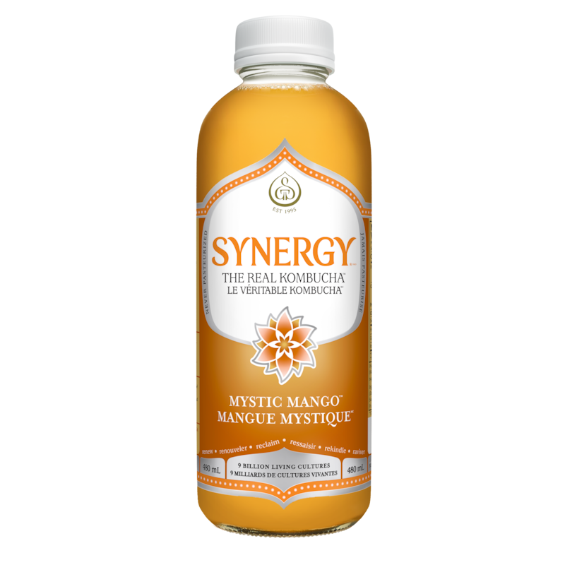 Synergy The Real Kombucha Mystic Mango