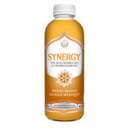 GT’s SYNERGY LE VÉRITABLE KOMBUCHA Mangue Mystique 480 ml, 1,00 $/100ml