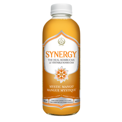 GT’s SYNERGY LE VÉRITABLE KOMBUCHA Mangue Mystique 480 ml, 1,00 $/100ml