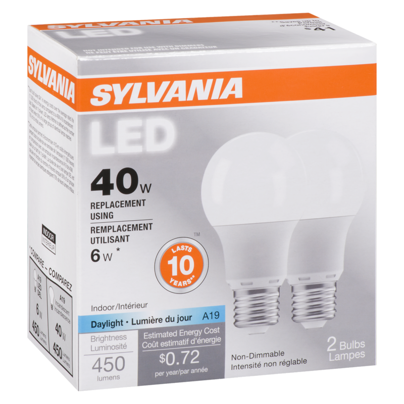 LED 6 W Light Bulb A19 Day 10 Y