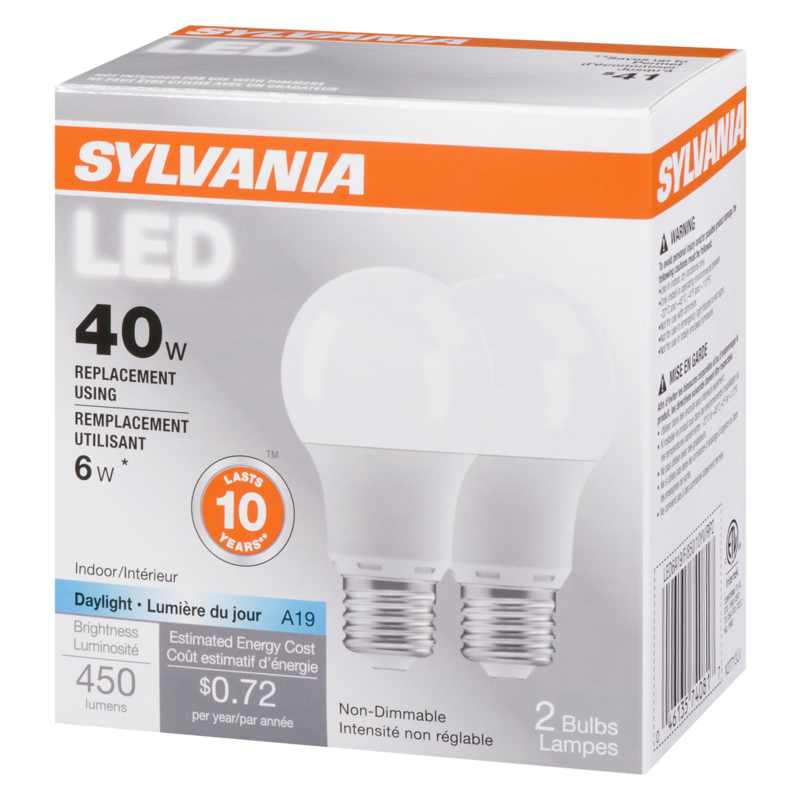 LED 6 W Light Bulb A19 Day 10 Y