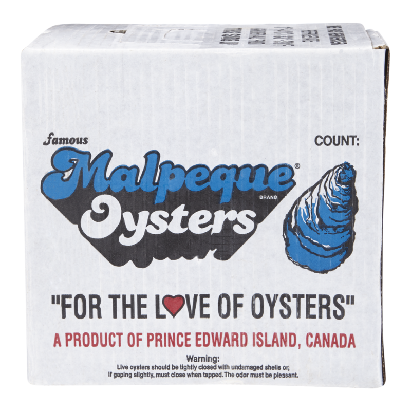 Oysters, Standard Malpeques, case