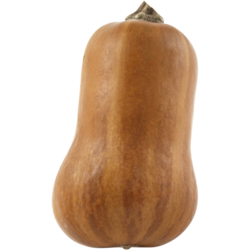 null Honey Nut Squash $4.41/1kg $2.00/1lb