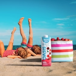 FRUITS　no95-98 Buy Mott's Fruitsations Apple Fruit Snacks Original Pear 6 x