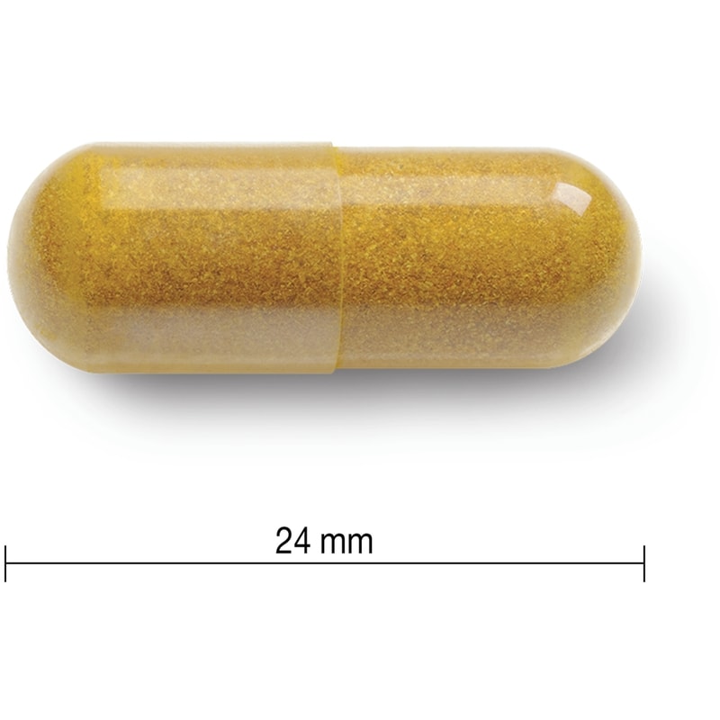 Turmeric Curcumin 550 mg Value Size