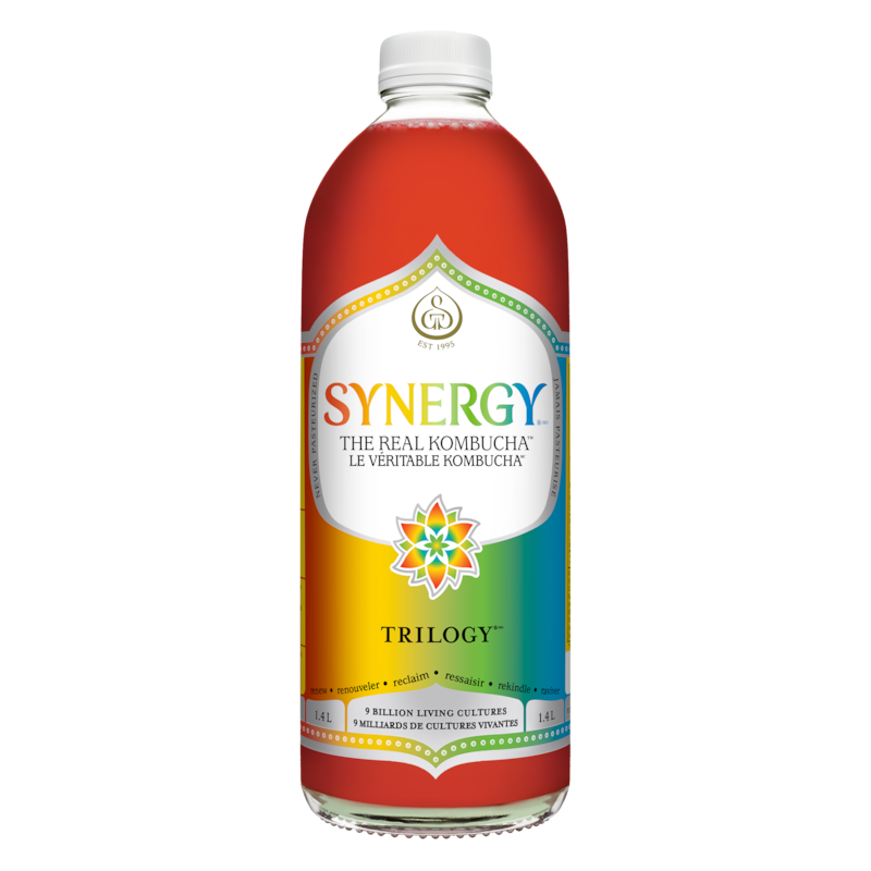 Synergy The Real Kombucha Trilogy