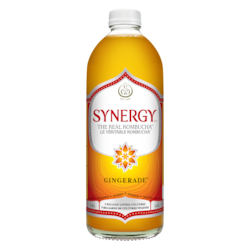 Synergy The Real Kombucha Gingerade
