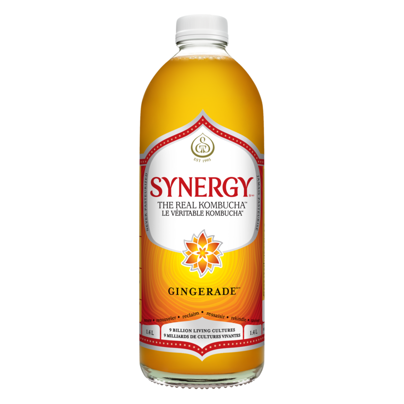 Synergy The Real Kombucha Gingerade