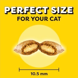 Temptations Tasty Chicken Flavour Adult Cat Treats - 454 g | No