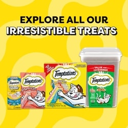 Temptations Tasty Chicken Flavour Adult Cat Treats - 454 g | Zehrs