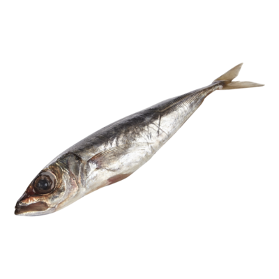 Maximum Blue Stickleback $24.23/1kg $10.99/1lb