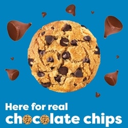 Christie CHIPS AHOY! Original Chocolate Chip Cookies, 1 Family