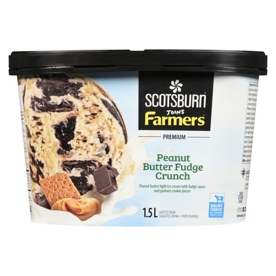 Premium Peanut Butter Fudge Crunch Ice Cream